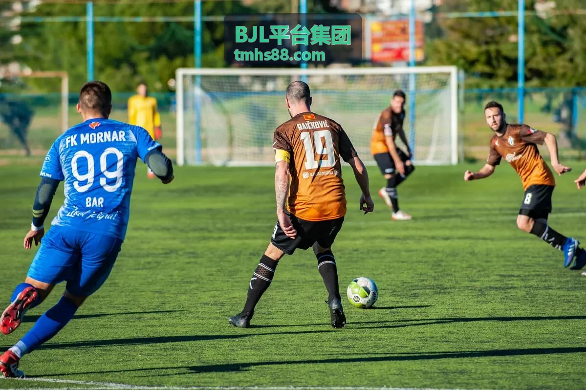 BJL平台集团智能风控案例